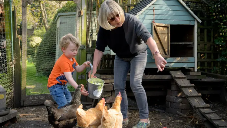 The art of the possible: How data can improve access to social tariffs in the short and medium term